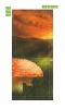 Mushroom door mural FP 6089 - Graphic design featuring a large red mushroom with white spots on a green grass background.