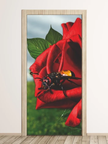 Rose door wallpaper FP 6102 - Graphic design featuring a vibrant red rose with an insect on the petals and green leaves.