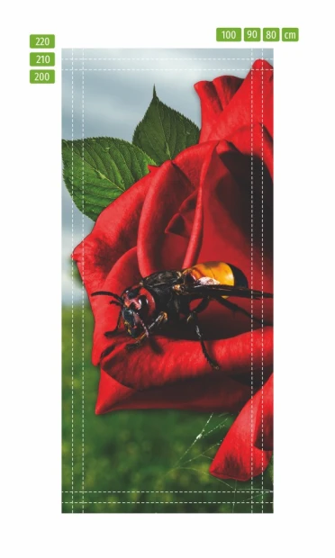 Rose door mural FP 6102 - Graphic design featuring a red rose with green leaves and an insect on a petal.
