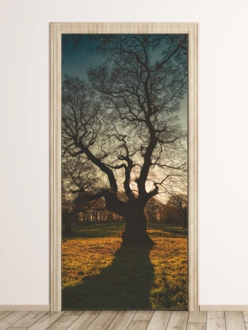 Wallpaper for doors featuring a solitary tree with sprawling branches against a sunset backdrop.