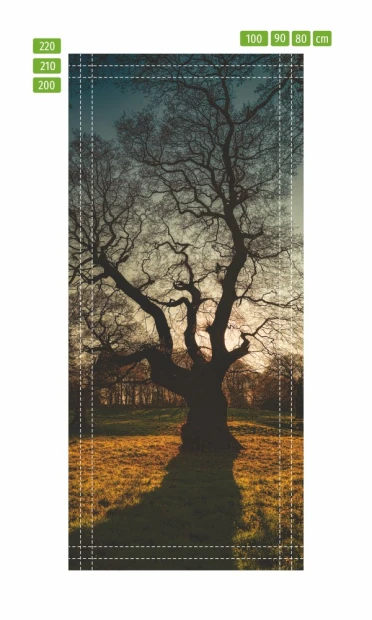 Wallpaper for doors featuring a solitary tree FP 6083 - Graphic design with a large tree and sprawling branches.