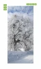 Snow-covered tree door mural FP 6145 - Graphic design featuring a snowy tree against a cloudy sky.
