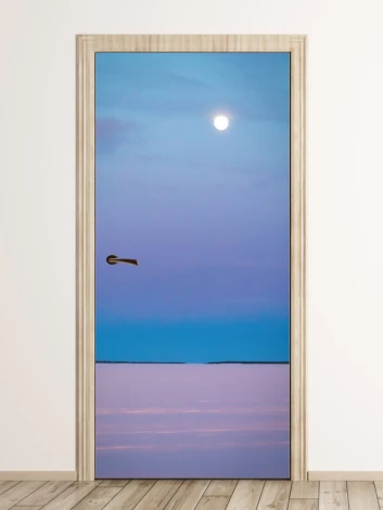 Moonlit snow door mural FP 6146 - Graphic design with the moon reflecting on water, surrounded by shades.