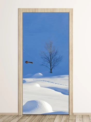 Frosty winter door wallpaper FP 6144 - Styled in an entryway with light walls and wooden flooring.