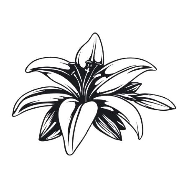 Flower painting template 2046 - Graphic design featuring a large flower shape with six petals and leaves.