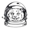 Cat painting template 2086 - Graphic design featuring a cat in an astronaut helmet with large eyes and vivid details.
