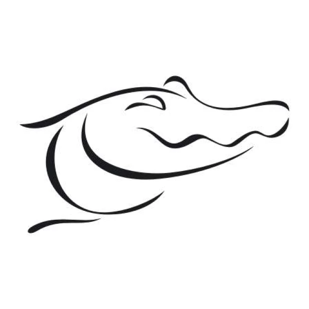 Crocodile painting template 2010 - Graphic design featuring the outline of a crocodile\'s head with clear lines and curves.