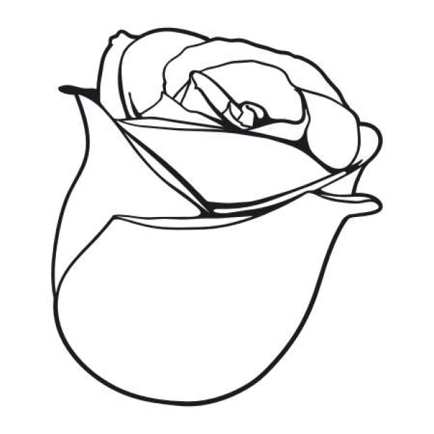 Rose bud painting template 2080 - Graphic design featuring a rose bud shape with delicate lines and rounded details.