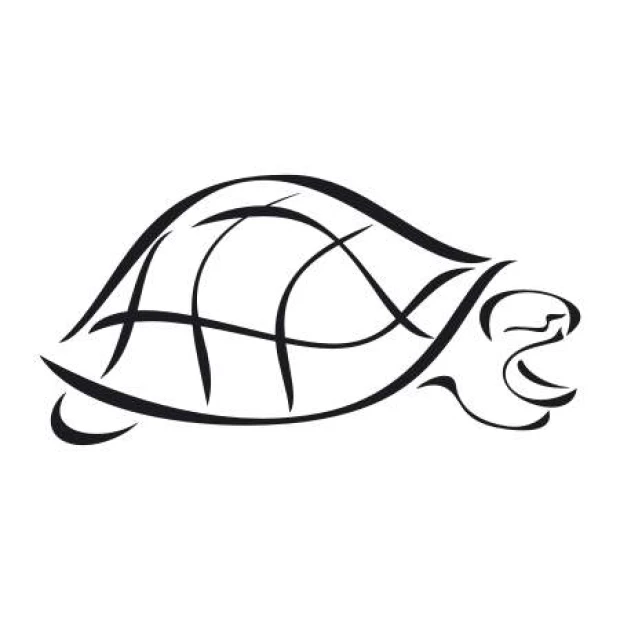 Turtle painting stencil 1999 - Graphic design featuring a turtle silhouette with clear outlines and shell details.