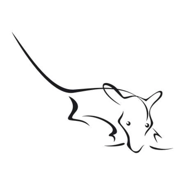 Mouse wall template 2000 - Graphic design featuring a mouse outline with clear lines and gentle curves.