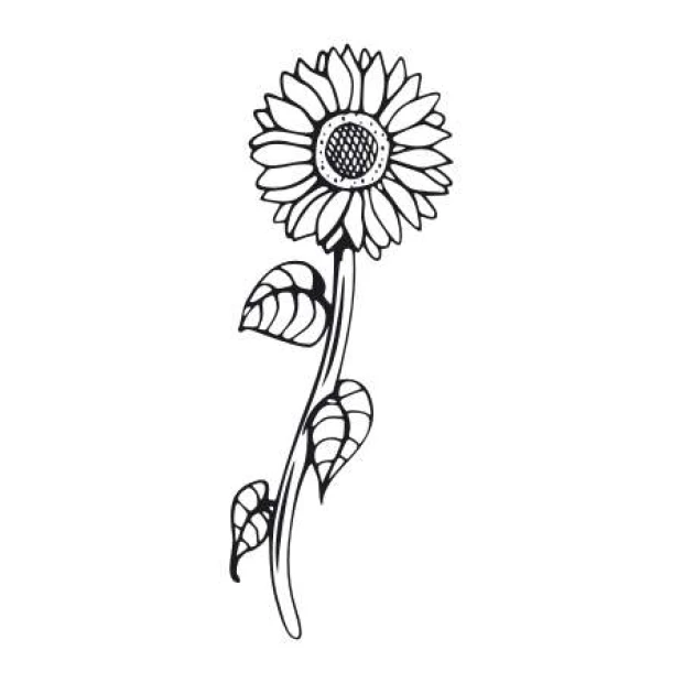 Sunflower wall template 2088 - Graphic design featuring a sunflower with large petals and leaves.