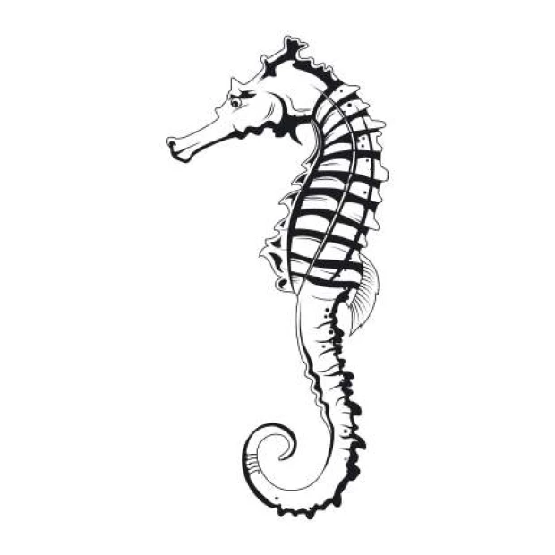 Seahorse painting template 2108 - Graphic design with clear lines and details.