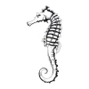 Seahorse painting template 2108 - Graphic design with clear lines and details.