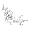 Painting template branch flower 2110 - Graphic design. Branch shape with large flowers and smaller leaves.