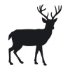 Deer painting stencil 2135 - Features a silhouette of a deer with prominent antlers and legs.
