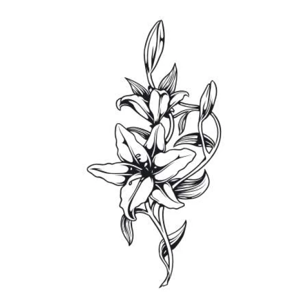 Flower painting template 2148 - Graphic design featuring elongated petals and leaves arranged in a floral pattern.