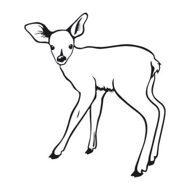 Children\'s wall template deer 2138 - Graphic design featuring a standing deer with clear details.