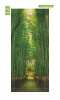 Bamboo door wallpaper FP 6158 - Graphic design featuring a dense bamboo forest with a narrow path among green stalks.