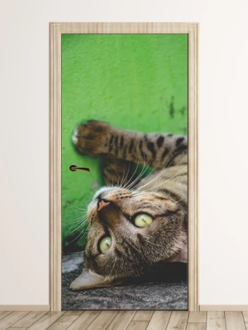 Door mural of a gray wild cat FP 6170 - Graphic design. Cat lying sideways on a green background with detailed fur.