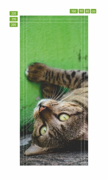Door mural of a gray wild cat FP 6170 - Graphic design. Cat lying on its side with green background, visible eyes and fur.