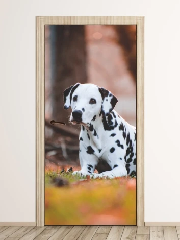 Black and white dog door mural FP 6176 - Graphic design featuring a dog with black and white spots lying on grass.