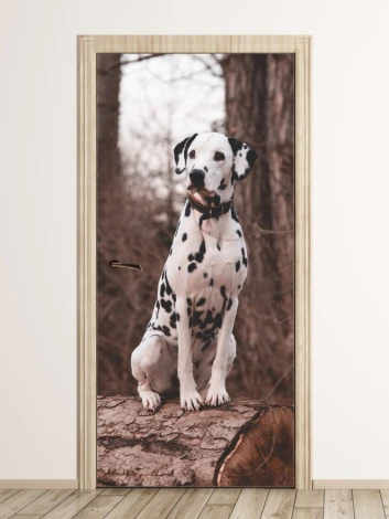 Dalmatian door mural FP 6178 - Graphic design featuring a Dalmatian dog sitting on a tree stump.