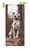 Dalmatian door wallpaper FP 6178 - Graphic design featuring a Dalmatian dog against a tree background.