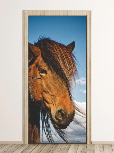 Horse head door mural FP 6189 - Graphic design featuring a horse\'s head with a long mane against a sky backdrop.
