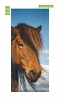 Horse head door mural FP 6189 - Graphic design featuring a horse\'s head with a flowing mane against a sky backdrop.
