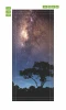 Starry sky door mural FP 6156 - Graphic design featuring a night sky with stars and a tree.