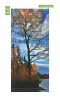 Lake wallpaper for doors FP 6154 - Graphic design featuring a lake surrounded by autumn-colored trees.