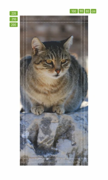 Cat door mural FP 6166 - Graphic design featuring a cat sitting on a stone with detailed fur textures.