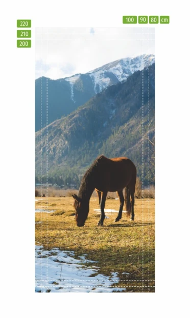 Door wallpaper featuring a horse grazing in a mountain meadow, FP 6191 - Graphic design with a horse on green grass.