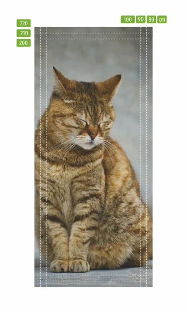Door wallpaper cat FP 6164 - Graphic design featuring a brown striped cat.