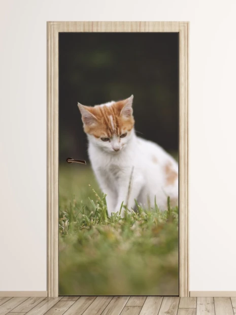 Door wallpaper cat FP 6165 - Entryway decor. Light-colored walls, wooden floor.