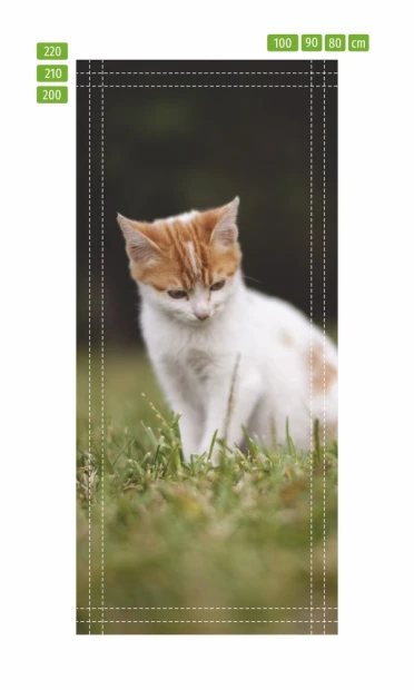 Cat door mural FP 6165 - Graphic design featuring a white-furred cat with orange spots on the grass.
