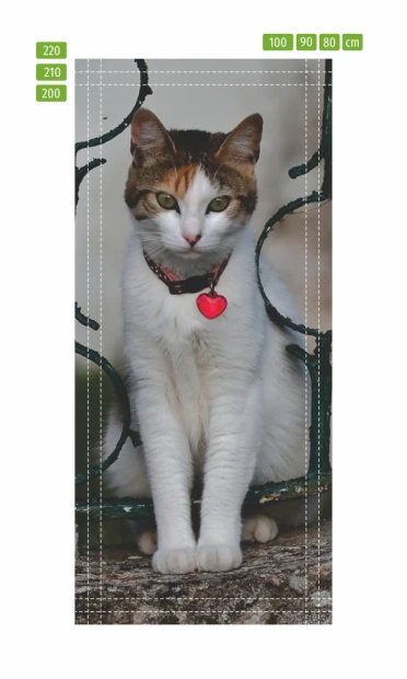 Cat door mural FP 6171 - Graphic design. Cat with white-brown fur sits against a grid background with a heart.