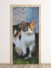 Cat door wallpaper FP 6167 - Room arrangement with light-colored walls and natural elements in the background.