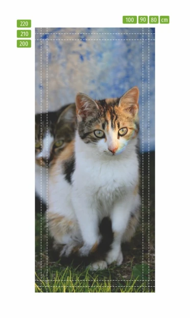 Door wallpaper cats FP 6167 - Graphic design featuring two cats on a blue background.