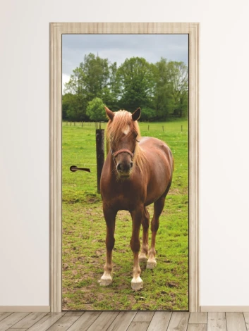 Young horse door mural FP 6188 - Rustic setting with green grass and trees in the background.