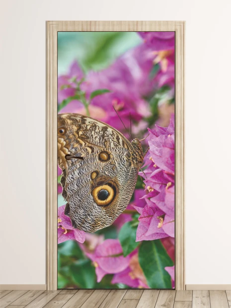 Butterfly door mural FP 6162 - Graphic design featuring a butterfly against a backdrop of pink flowers and green leaves.