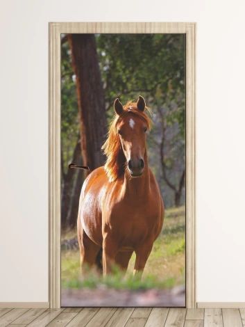 Fire Stallion Door Mural FP 6190 - Graphic design featuring a brown horse against a green grass background.