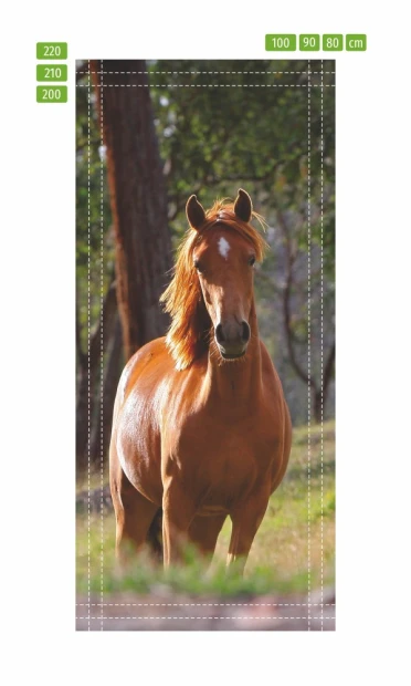 Fire Stallion Door Mural FP 6190 - Living room setup with green walls and wooden accents.