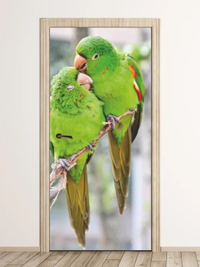 Wallpaper for doors featuring two green lovebirds perched closely on a branch.