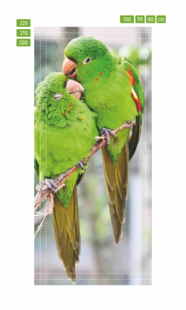 Wall mural for doors featuring two green lovebirds on a branch with detailed feather patterns.