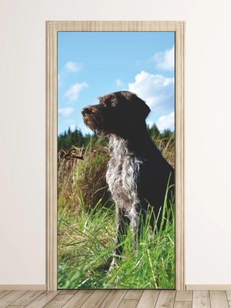 Door wallpaper dog FP 6151 - Natural setting with green grass and blue sky in the background.