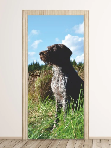 Wallpaper For Doors Dog Fp 6151