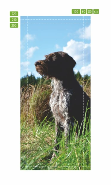 Door wallpaper dog FP 6151 - Graphic design featuring a dog sitting in grass with a cloudy sky in the background.