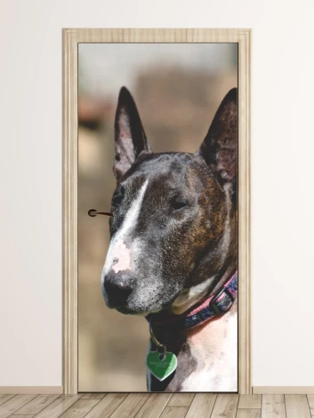 Door wallpaper dog FP 6161 - Graphic design featuring a bull terrier with closed eyes.
