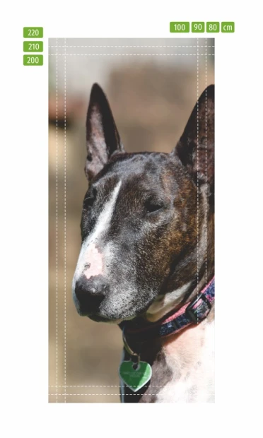Door mural dog FP 6161 - Graphic design featuring a brown and white bull terrier.